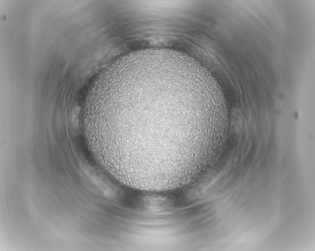 X0000088150650200705291424