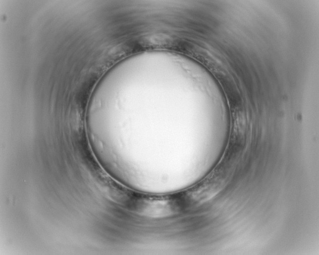 X0000088150651200705291424