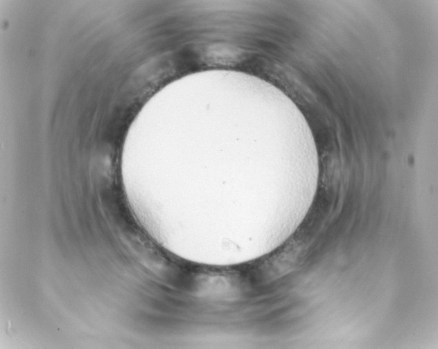 X0000088150655200705291424