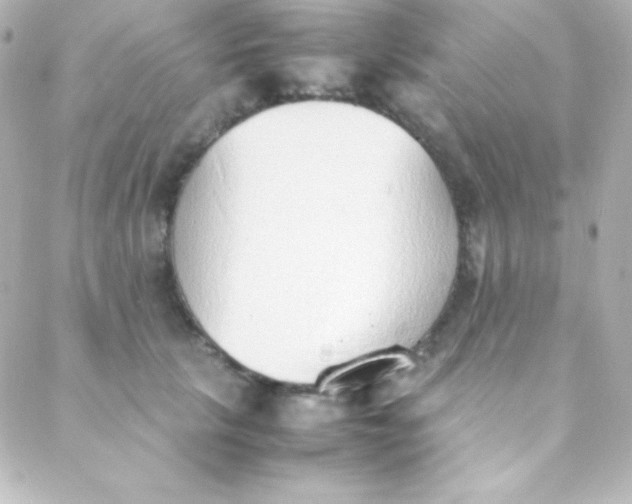 X0000088150657200705291424