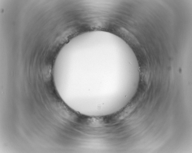 X0000088150660200705291424