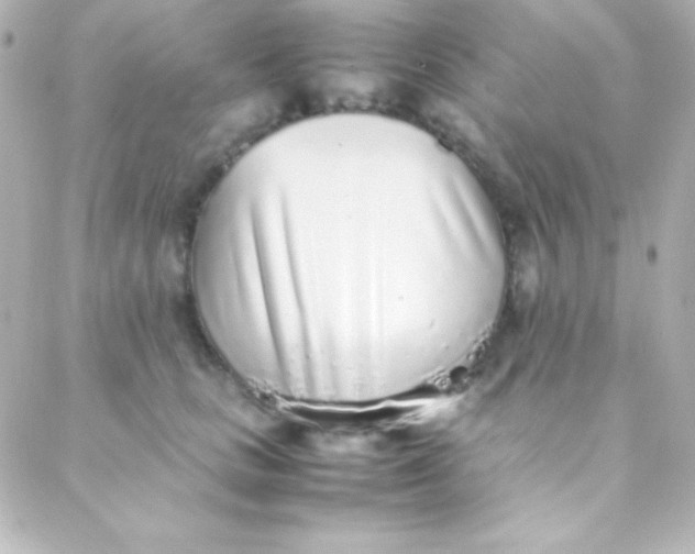 X0000088150661200705291424