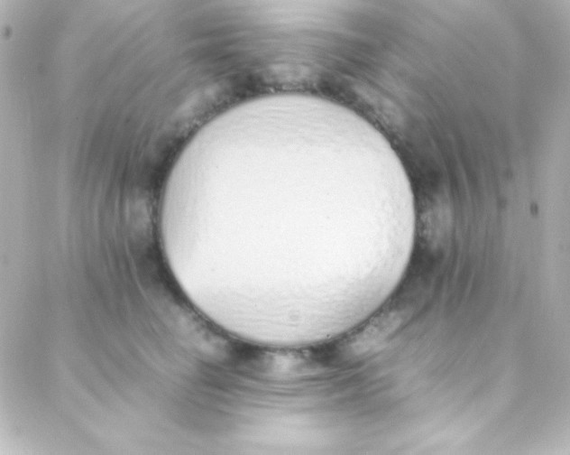 X0000088150662200705291424