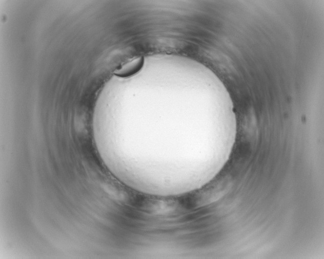 X0000088150663200705291424