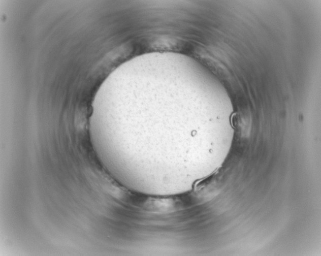 X0000088150665200705291424