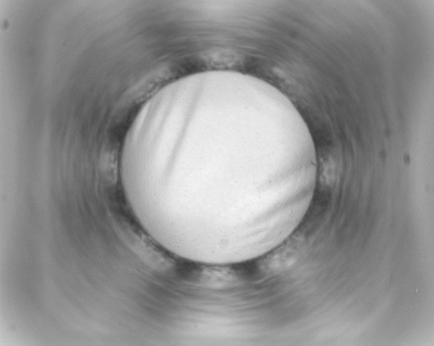 X0000088150666200705291424