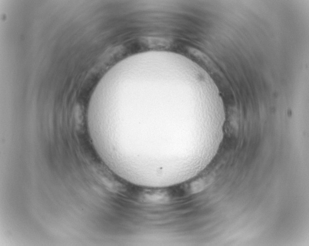 X0000088150667200705291424