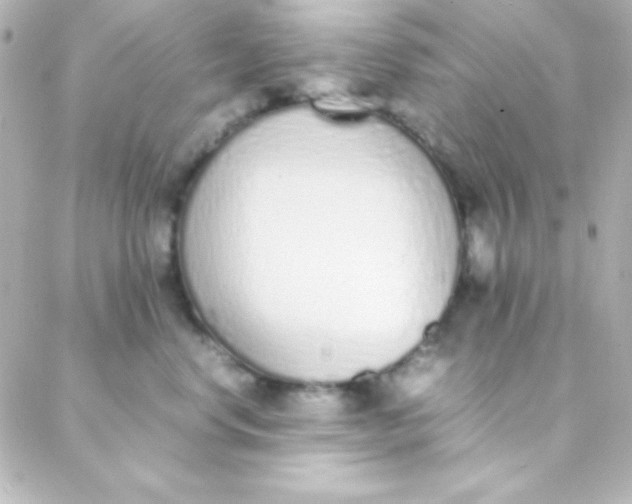 X0000088150668200705291424