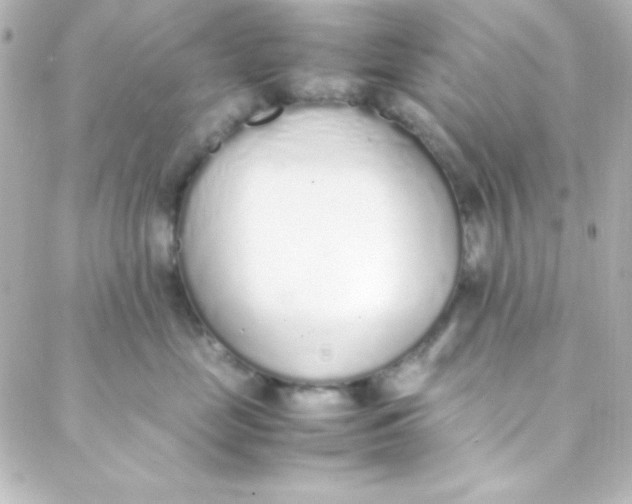 X0000088150669200705291424