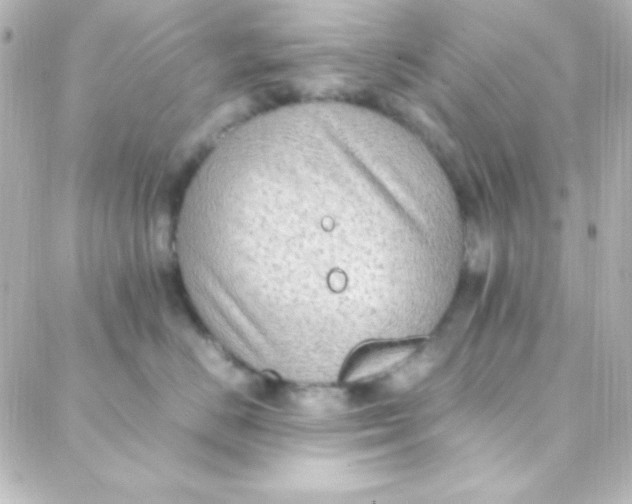 X0000088150670200705291424