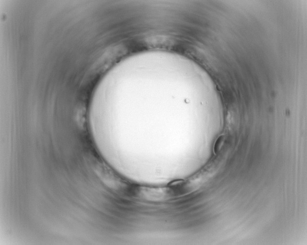 X0000088150671200705291424