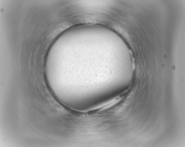 X0000088150673200705291423