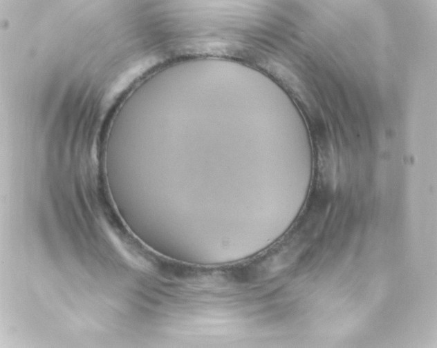 X0000088150674200705291423