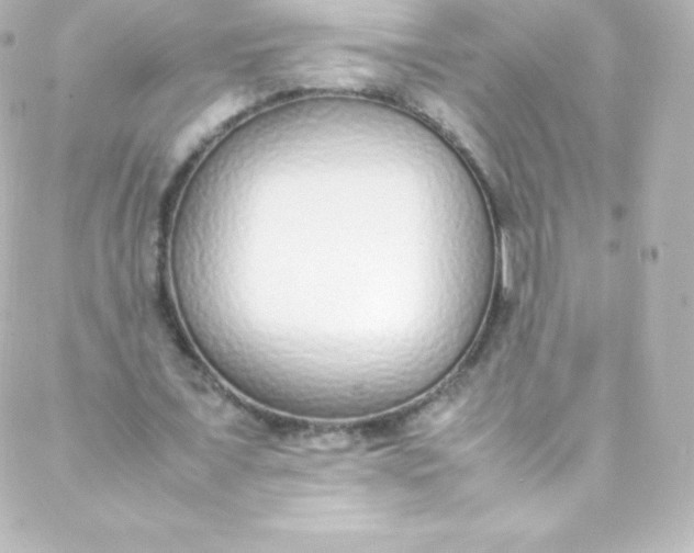 X0000088150675200705291423