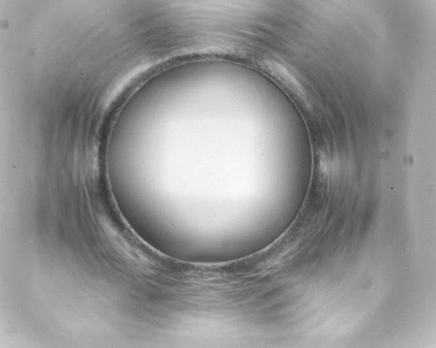 X0000088150676200705291423