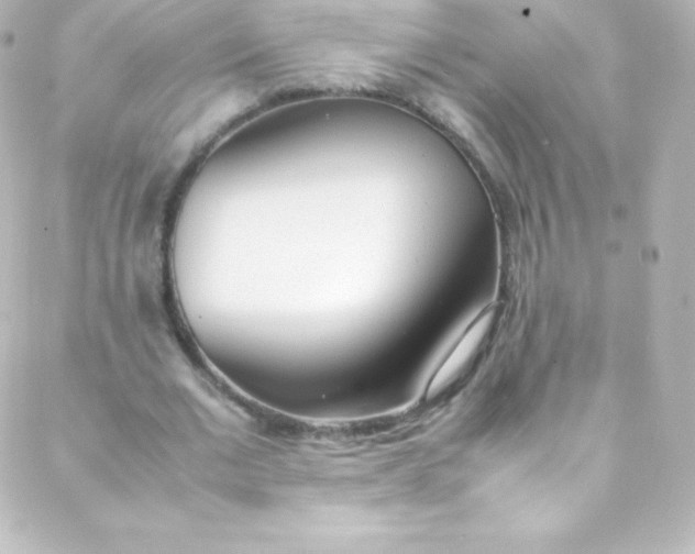 X0000088150677200705291423