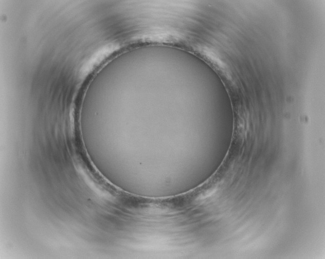 X0000088150678200705291423