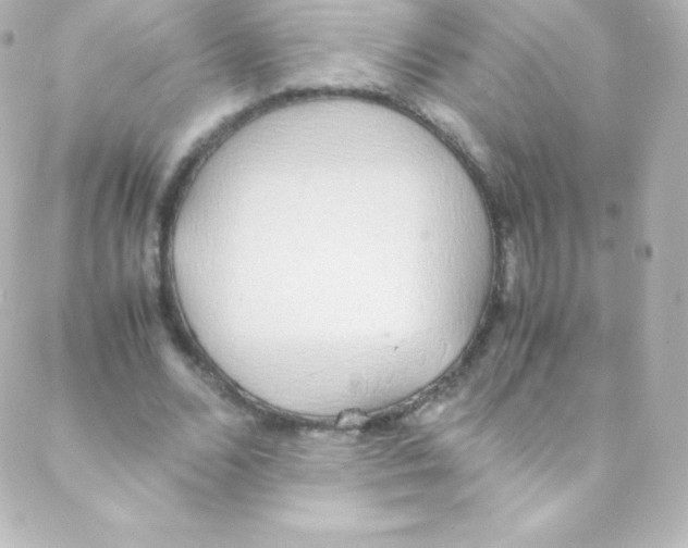 X0000088150680200705291423