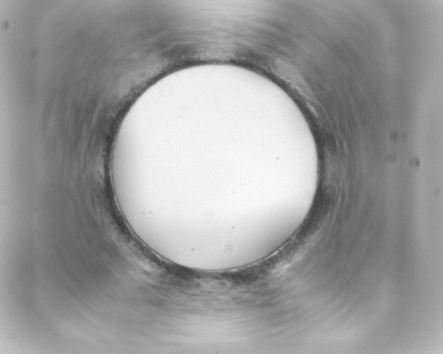 X0000088150681200705291423