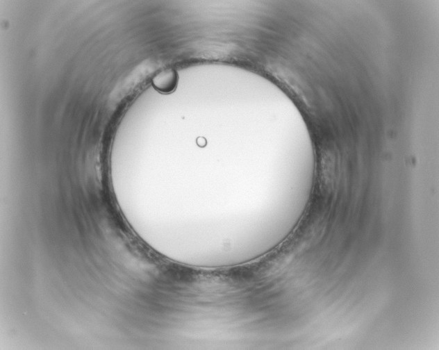 X0000088150682200705291423