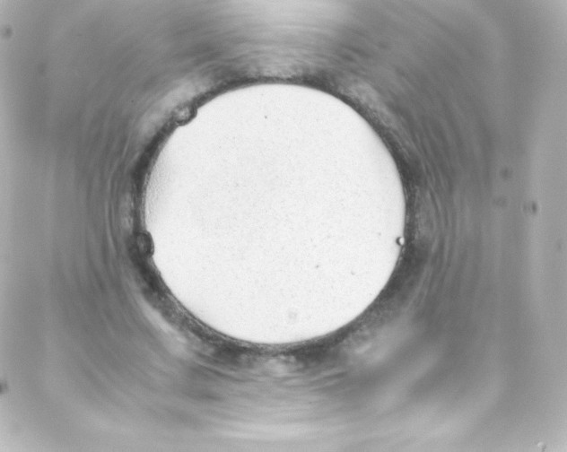 X0000088150683200705291423