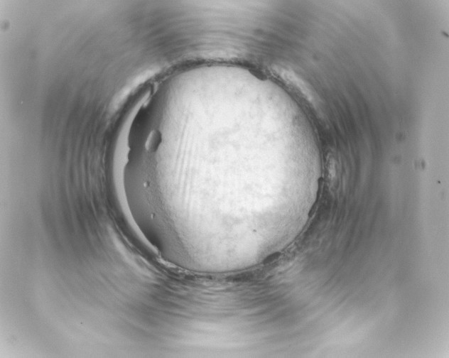 X0000088150684200705291423