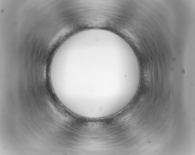 X0000088150686200705291423