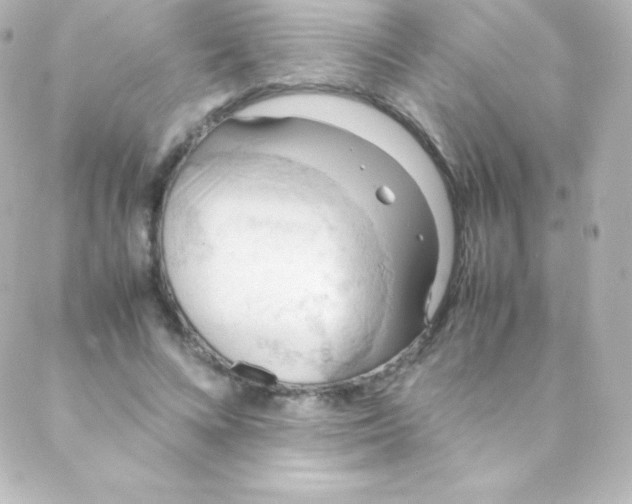 X0000088150688200705291423