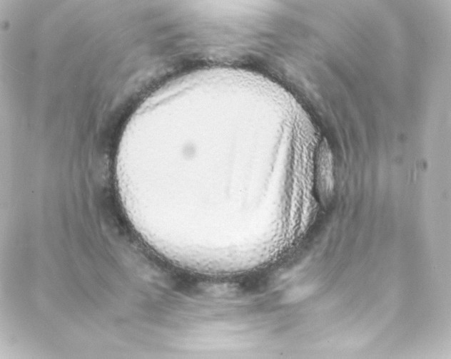 X0000088150689200705291423