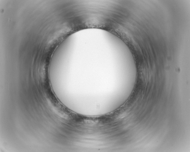 X0000088150690200705291423