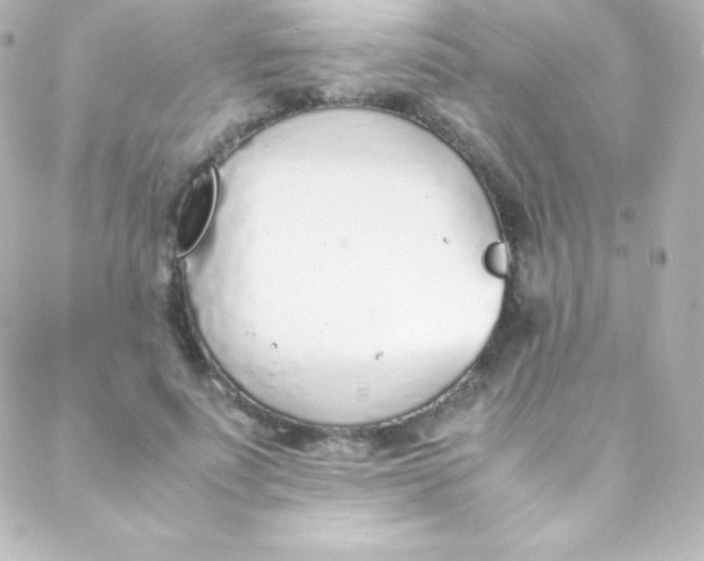 X0000088150691200705291423