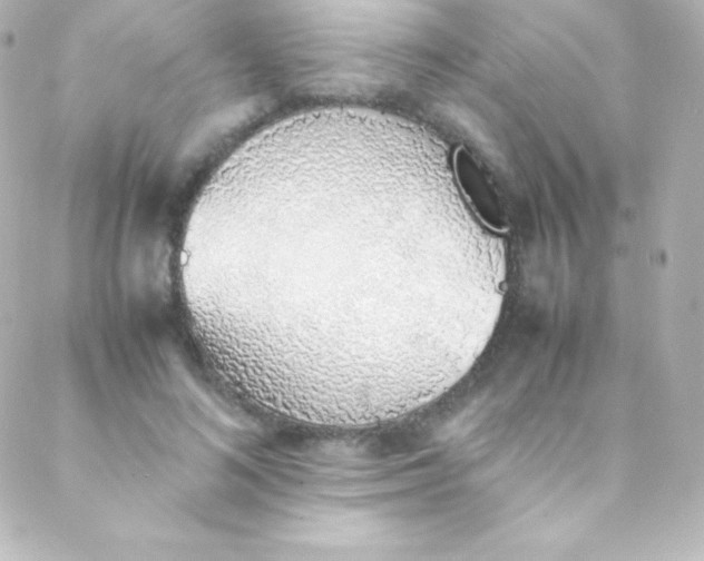 X0000088150692200705291423