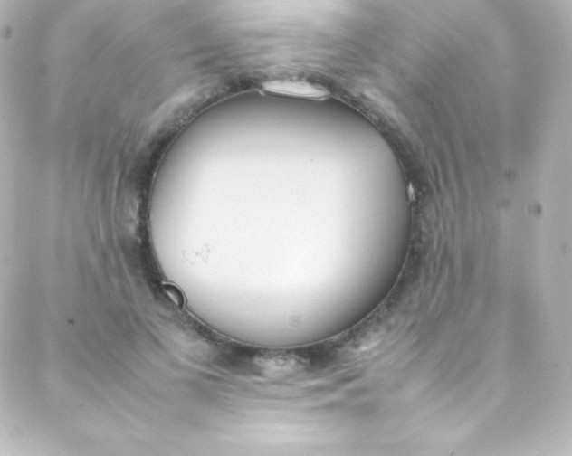 X0000088150693200705291423