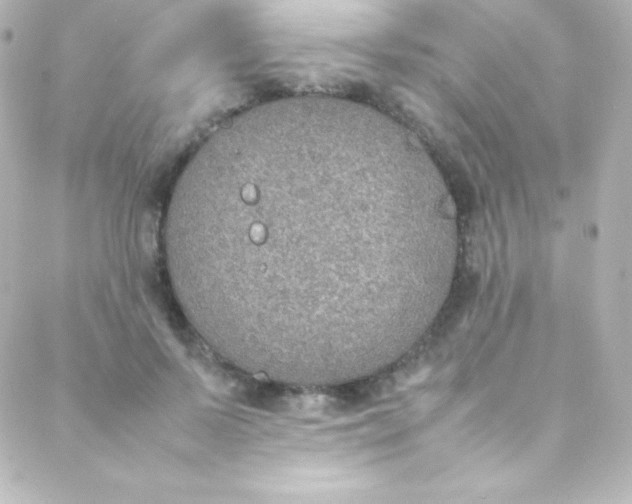 X0000088150695200705291423