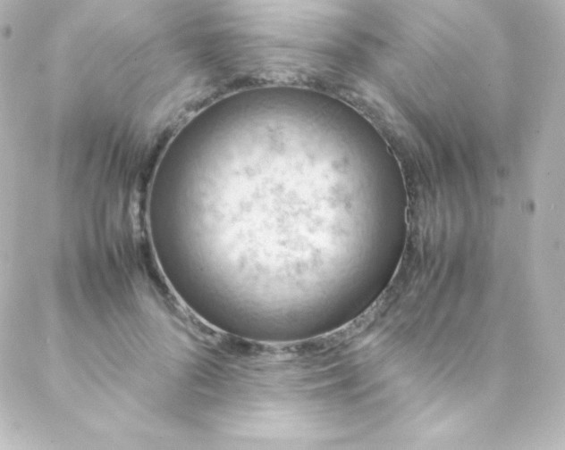 X0000088150696200705291423