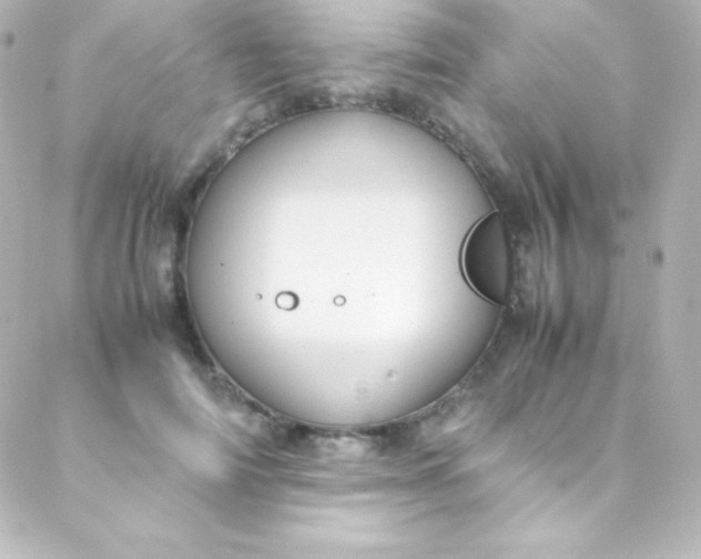 X0000088150698200705291423