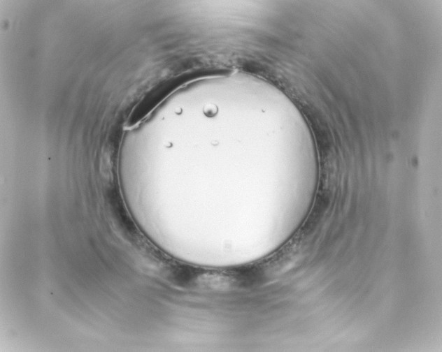 X0000088150699200705291423