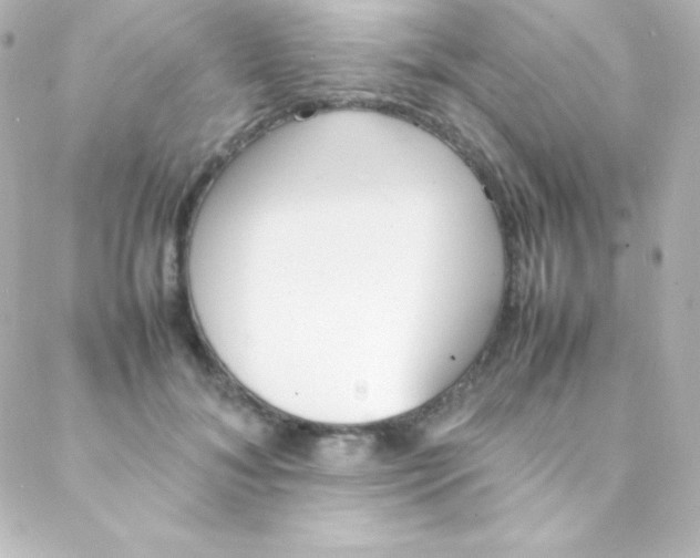 X0000088150700200705291423