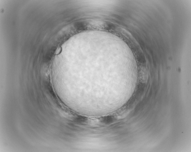 X0000088150701200705291423