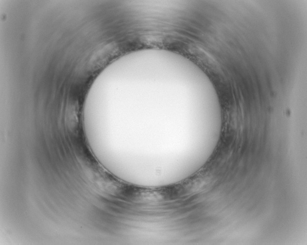 X0000088150702200705291423