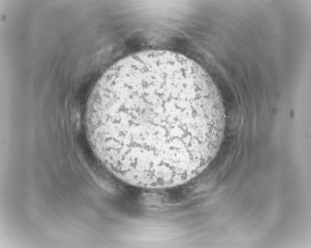 X0000088150703200705291423