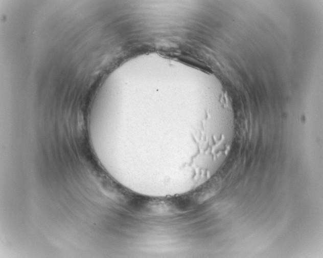 X0000088150704200705291423