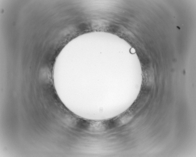 X0000088150705200705291423