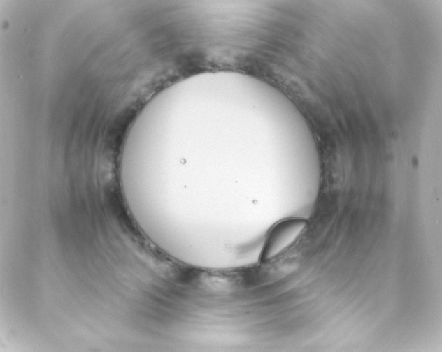 X0000088150706200705291423