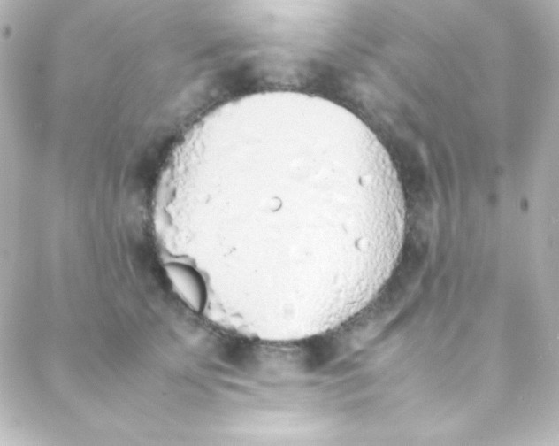 X0000088150707200705291423