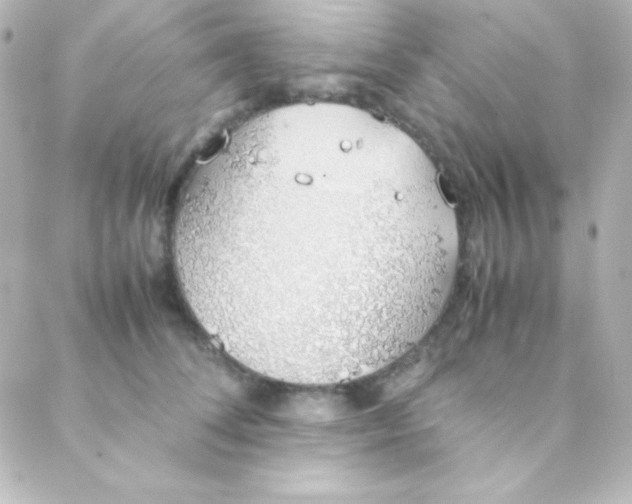 X0000088150708200705291423