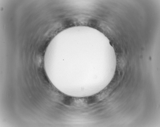 X0000088150709200705291423