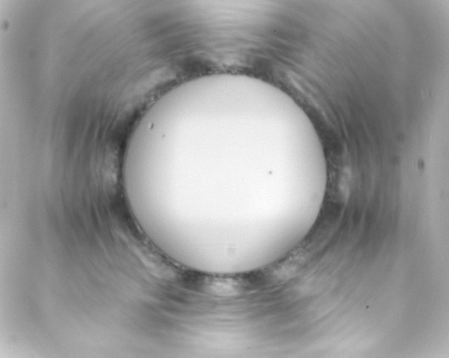 X0000088150710200705291423