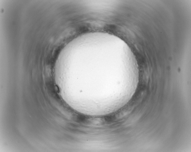 X0000088150711200705291423