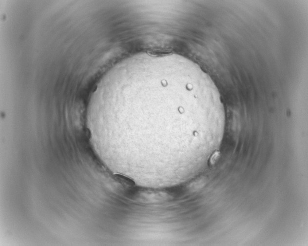 X0000088150712200705291423